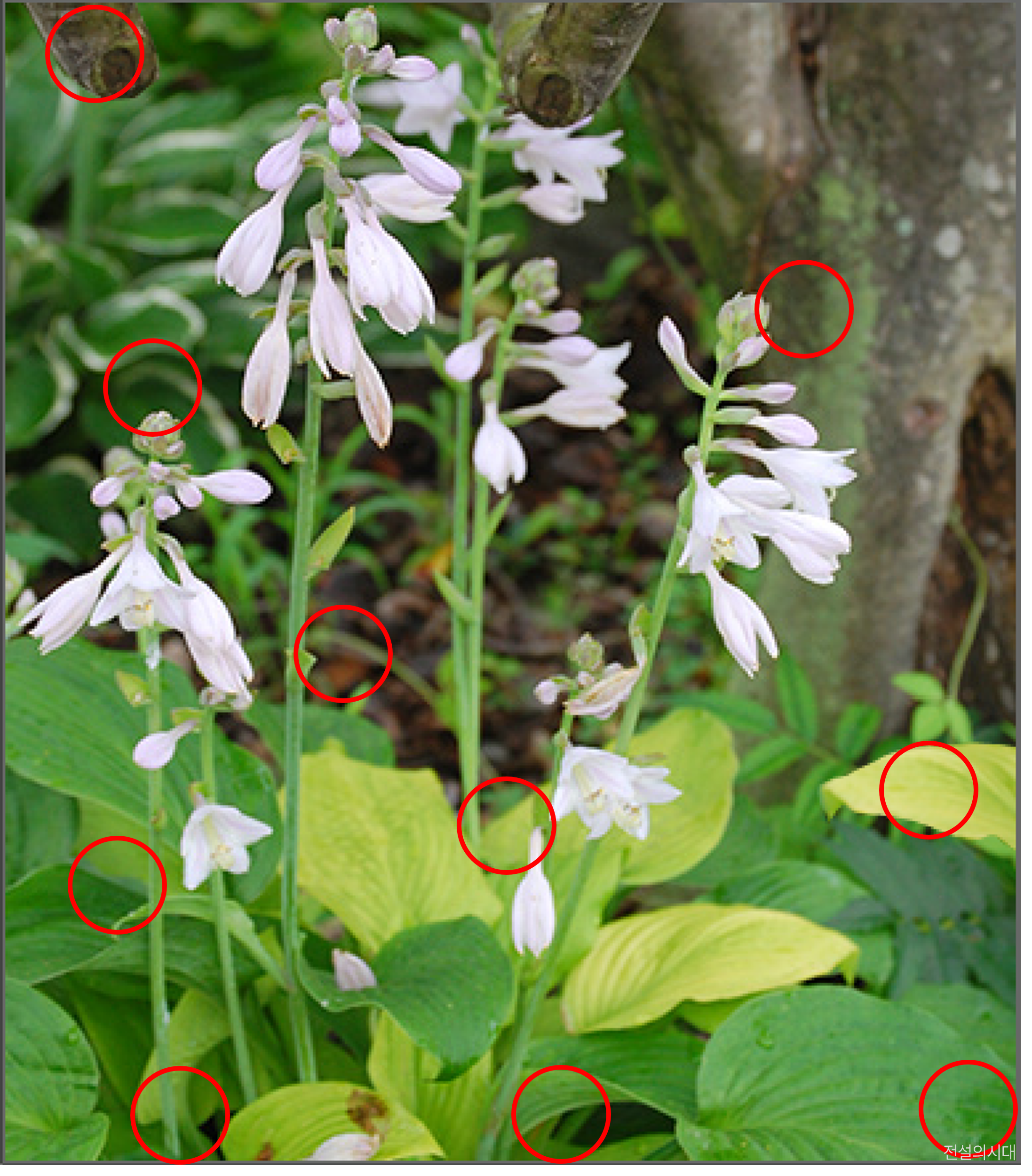 [크아][히든캐치][오락실 족보][푸딩초코] 스테이지 16