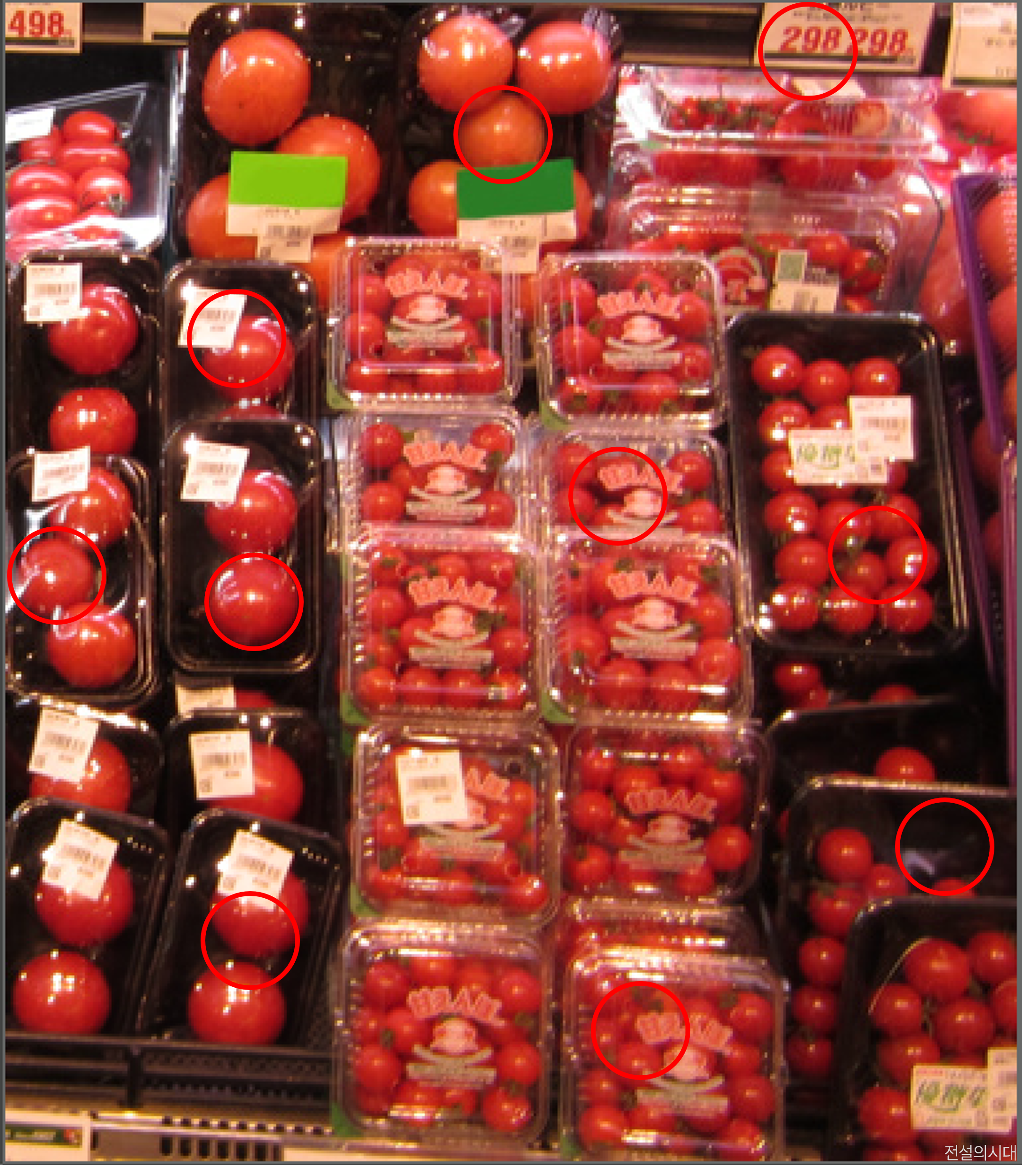 [크아][히든캐치][오락실 족보][포레스트] 스테이지 2