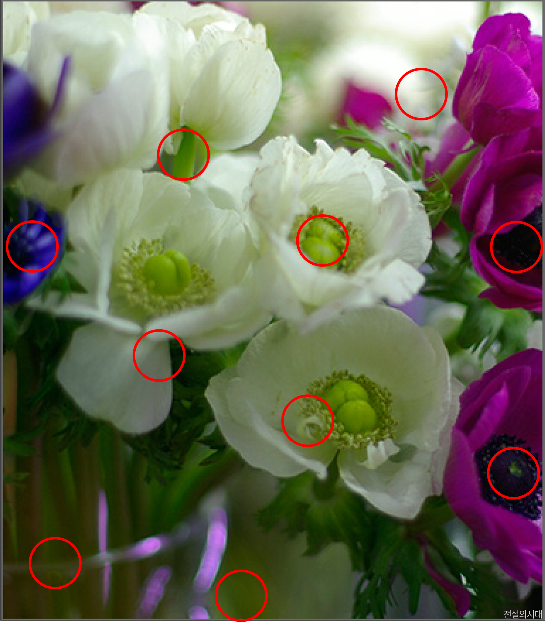 [크아][히든캐치][오락실 족보][푸딩초코] 스테이지 21