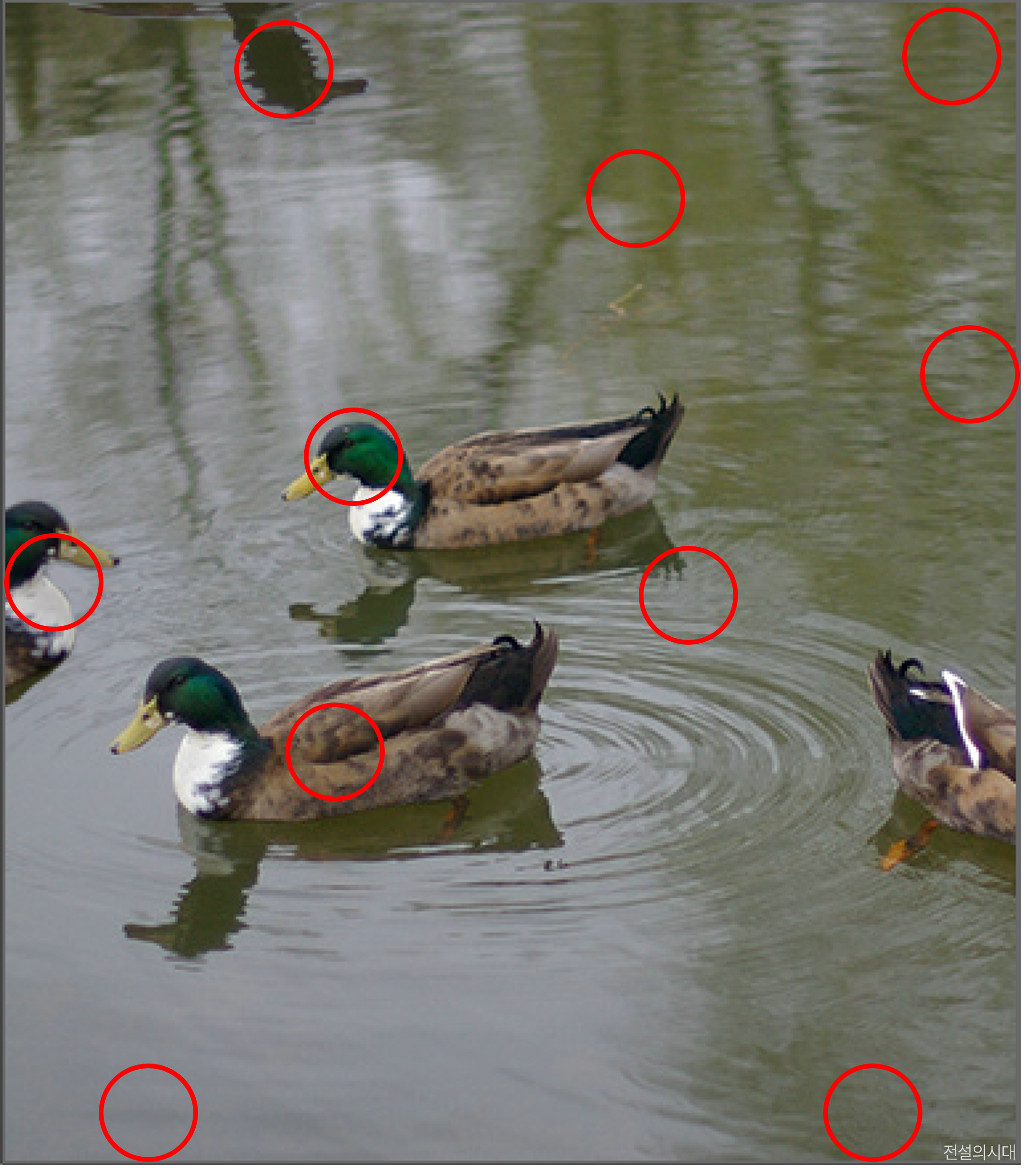 [크아][히든캐치][오락실 족보][푸딩초코] 스테이지 22