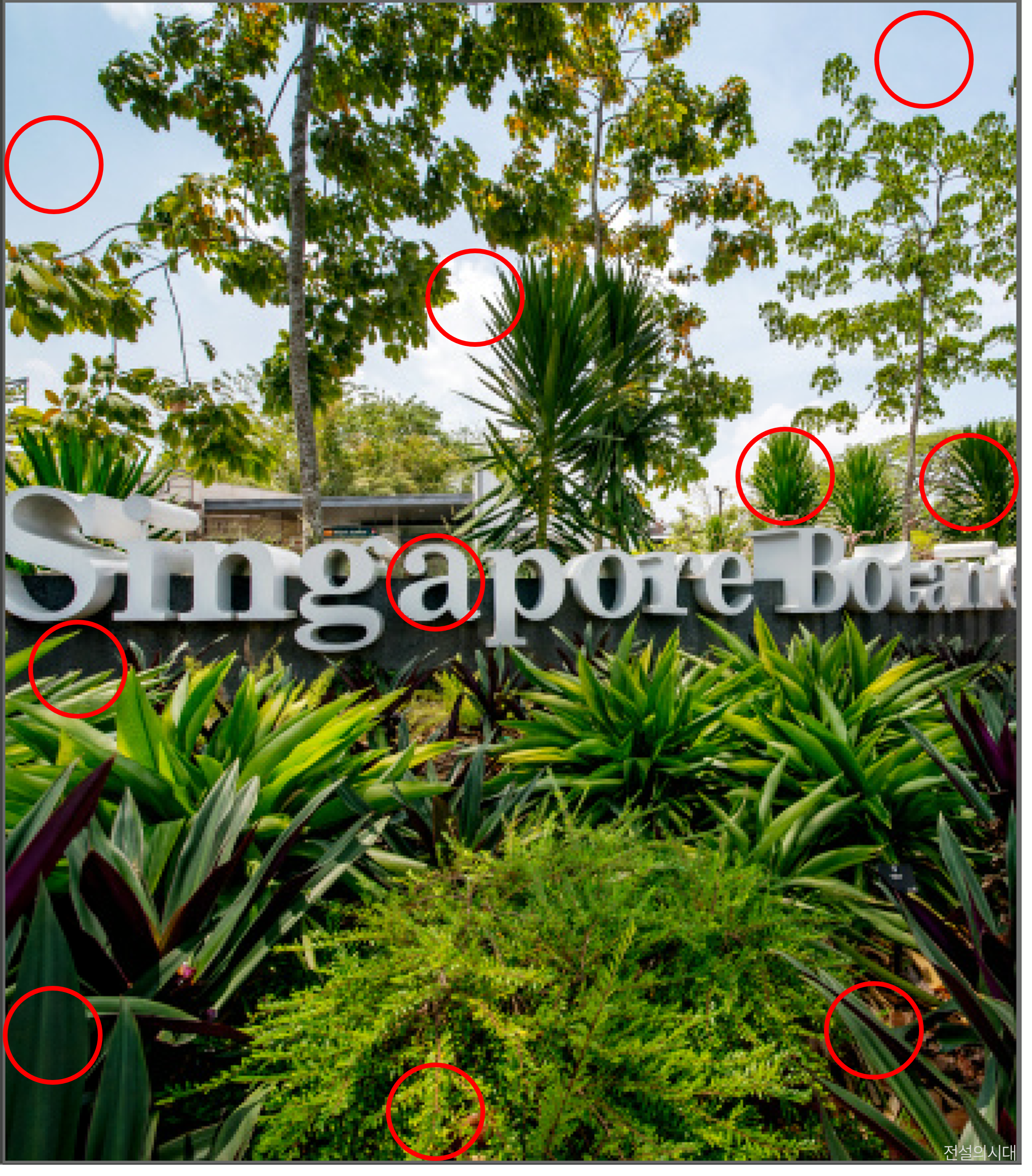 [크아][히든캐치][오락실 족보][싱가포르] 스테이지 26