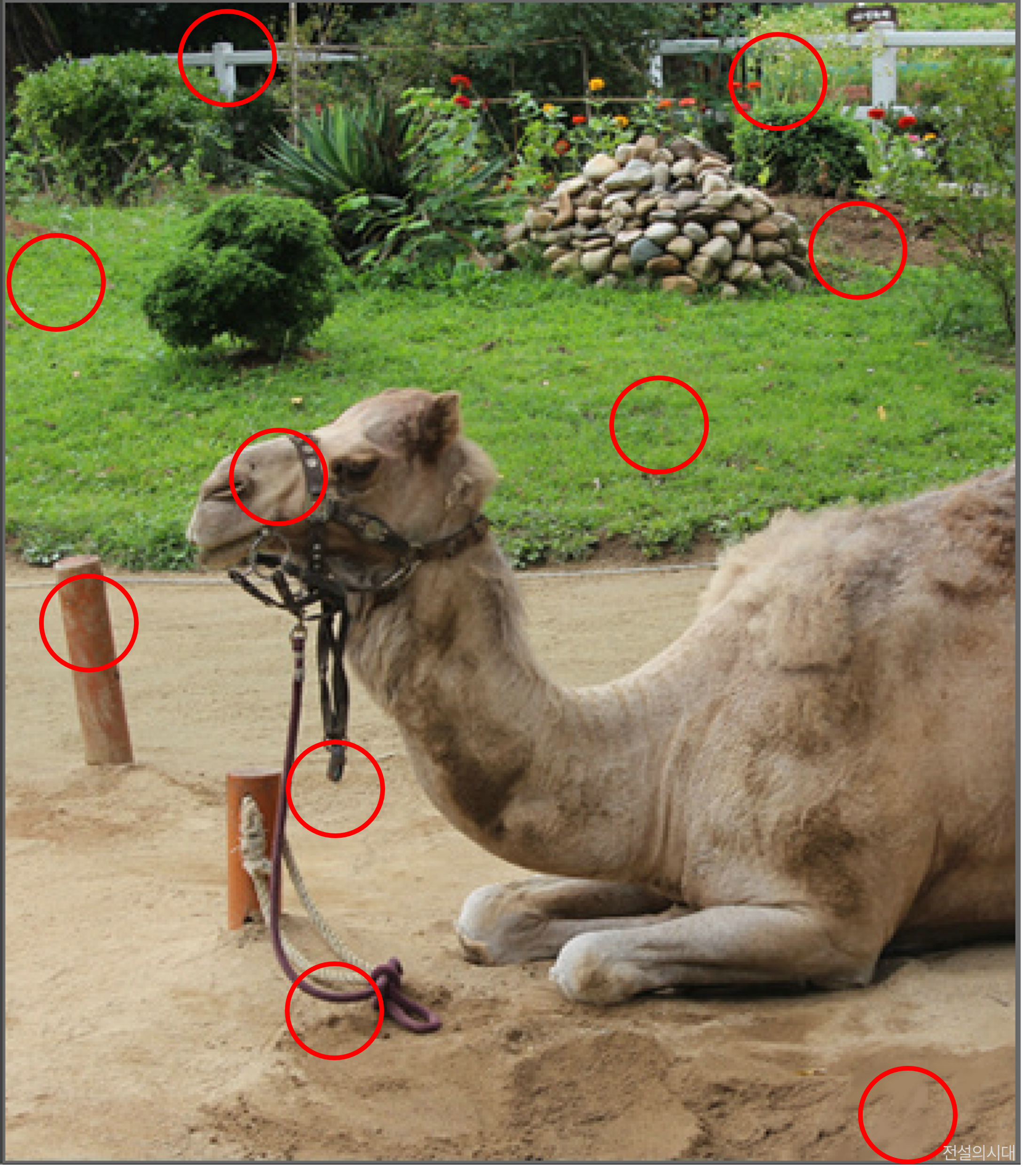 [크아][히든캐치][오락실 족보][오락실] 스테이지 27