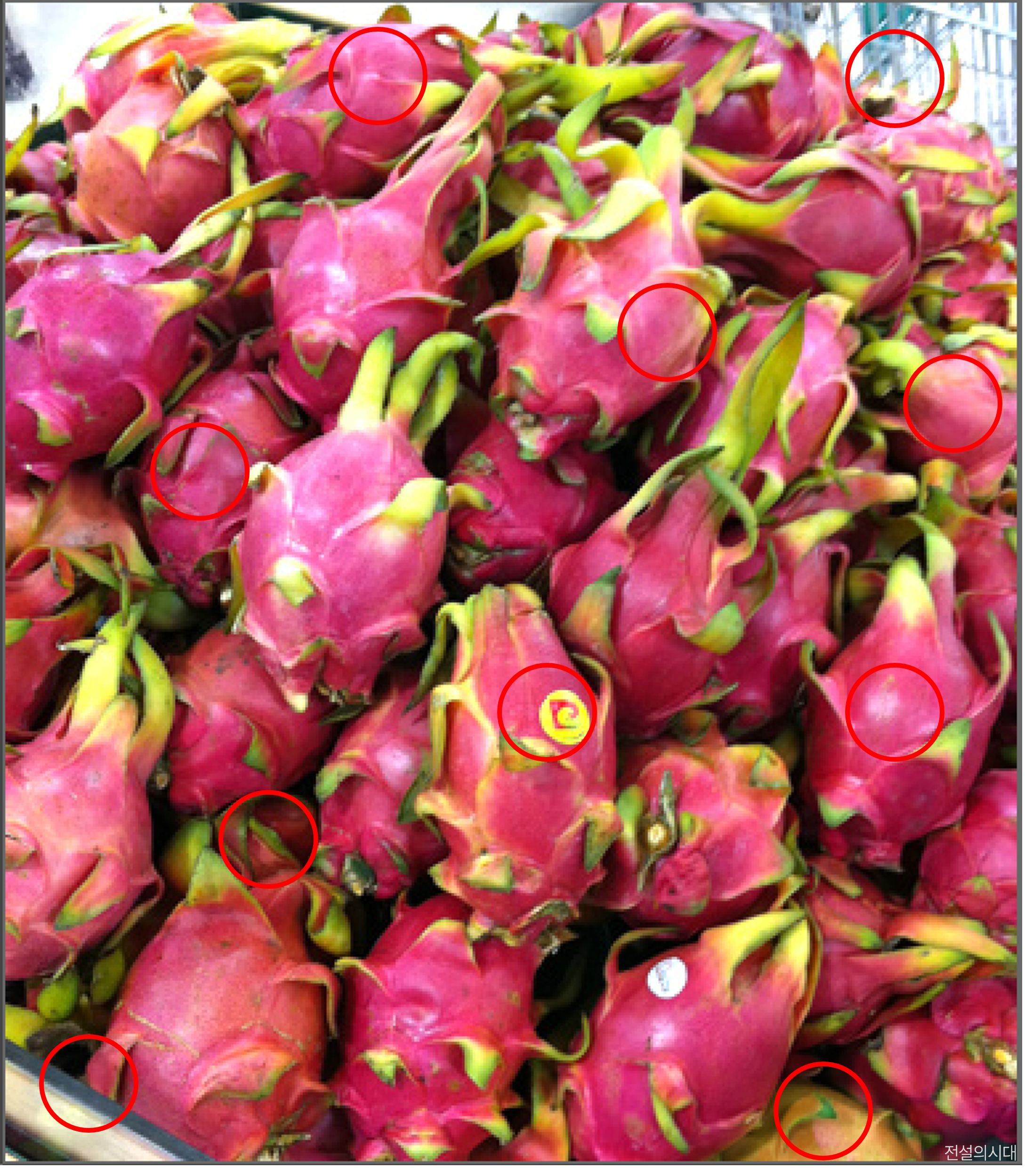 [크아][히든캐치][오락실 족보][포레스트] 스테이지 32