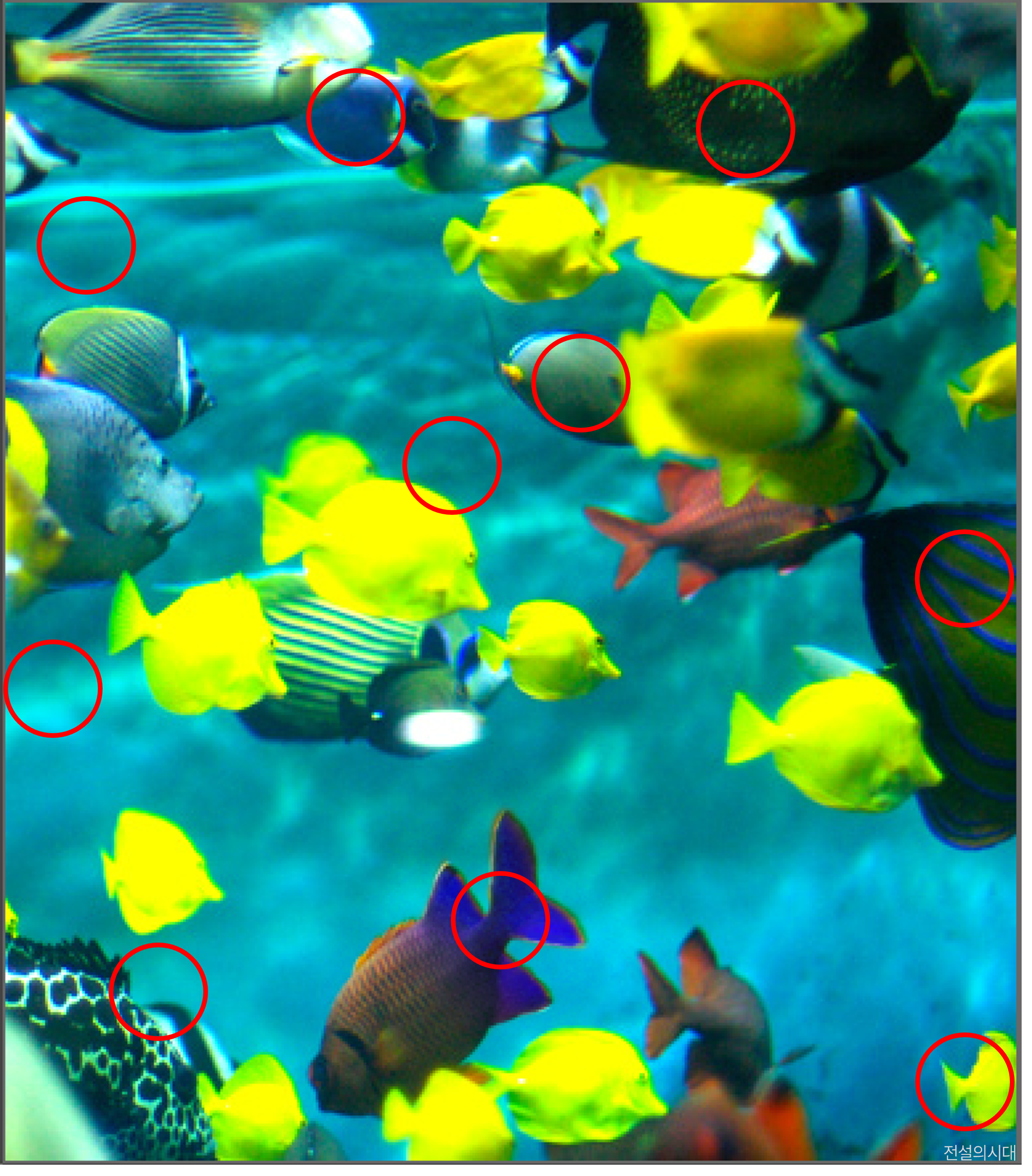 [크아][히든캐치][오락실 족보][오락실] 스테이지 32