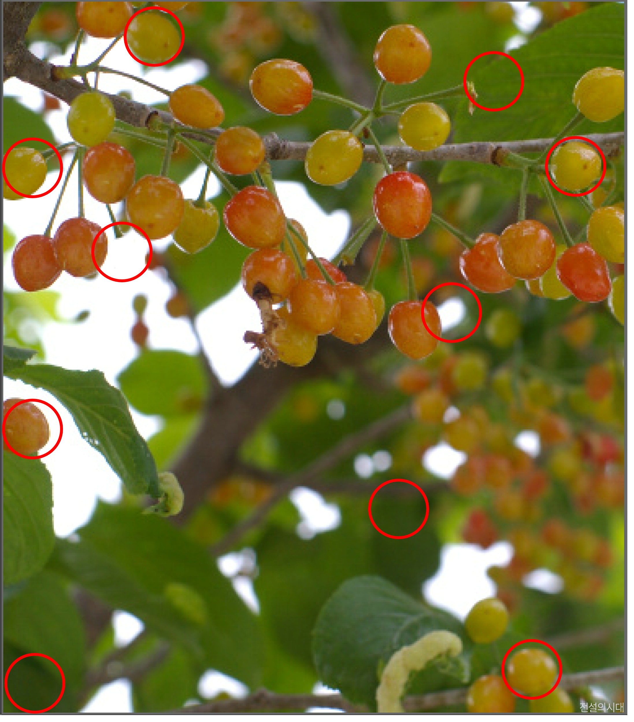 [크아][히든캐치][오락실 족보][푸딩초코] 스테이지 33