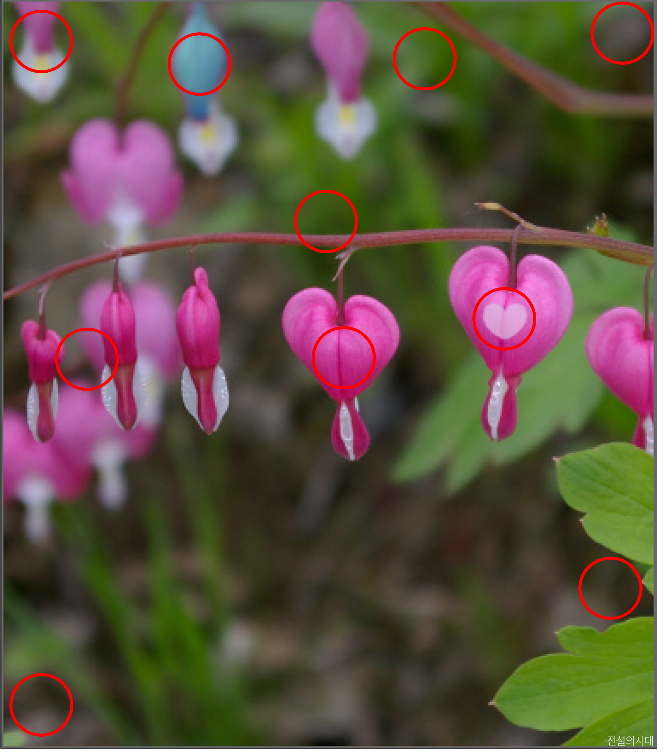 [크아][히든캐치][오락실 족보][푸딩초코] 스테이지 34