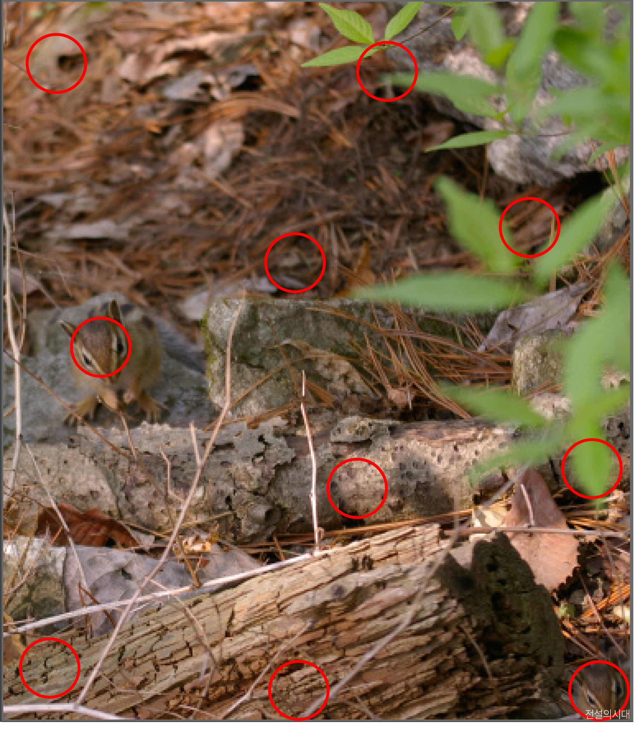 [크아][히든캐치][오락실 족보][푸딩초코] 스테이지 36