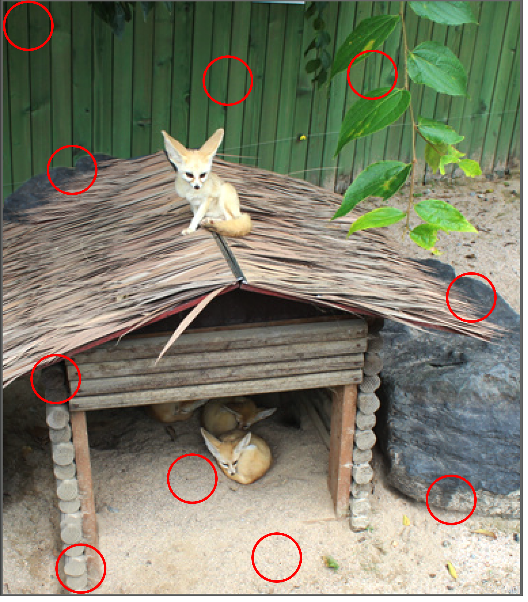 [크아][히든캐치][오락실 족보][오락실] 스테이지 36