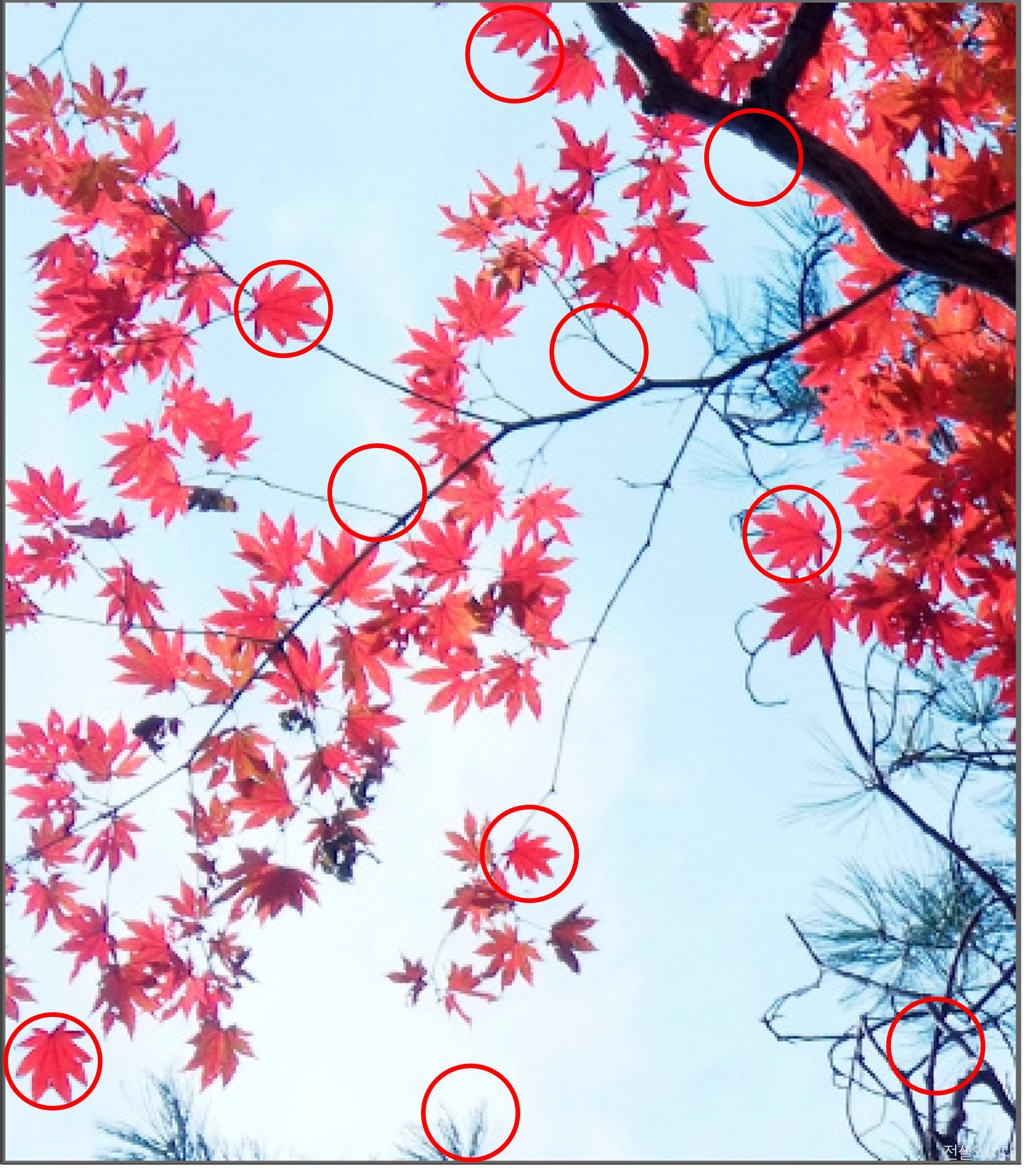 [크아][히든캐치][오락실 족보][푸딩초코] 스테이지 38