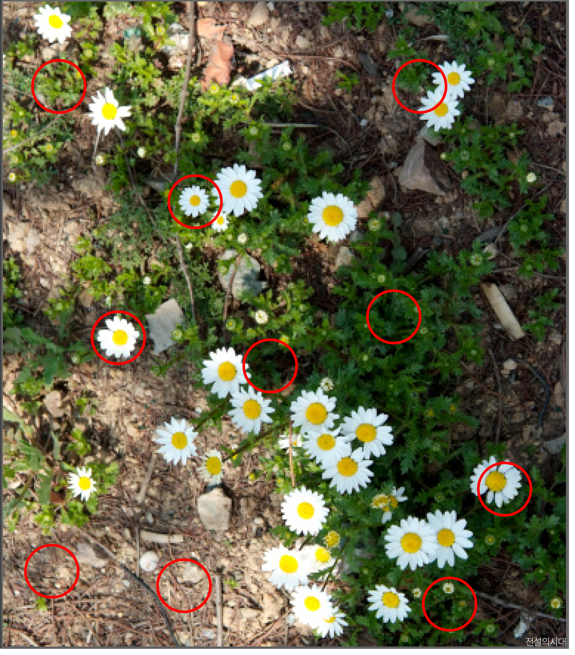 [크아][히든캐치][오락실 족보][푸딩초코] 스테이지 42