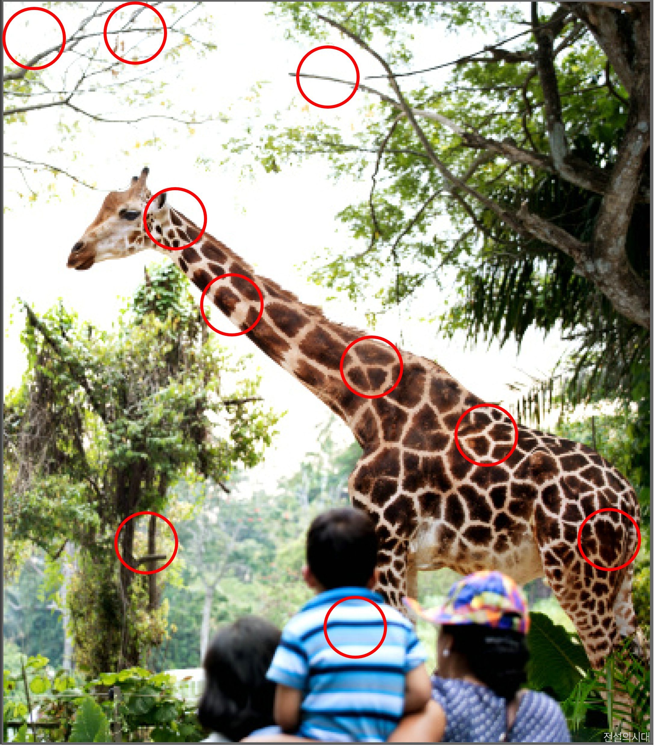 [크아][히든캐치][오락실 족보][싱가포르] 스테이지 44