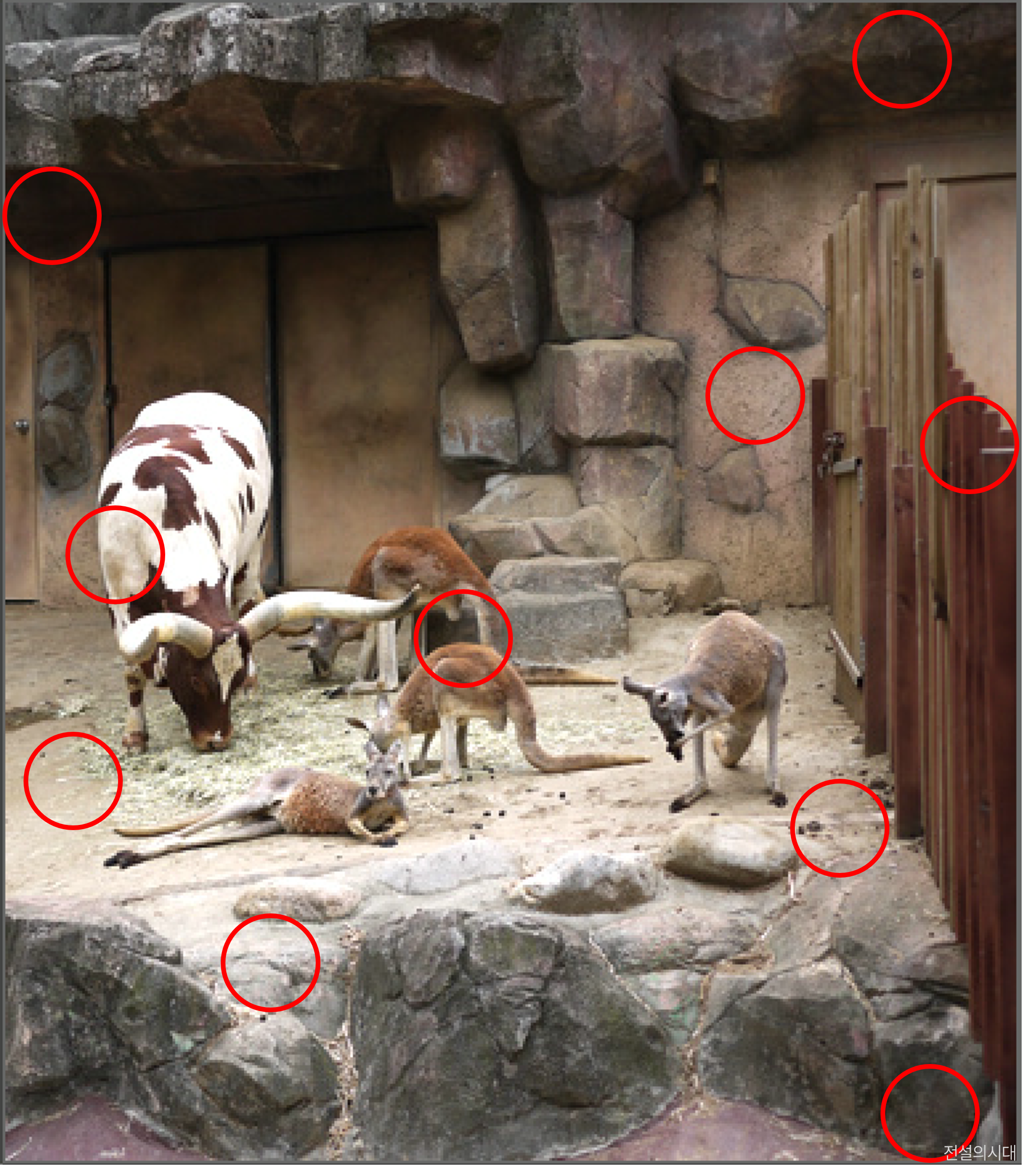 [크아][히든캐치][오락실 족보][오락실] 스테이지 47