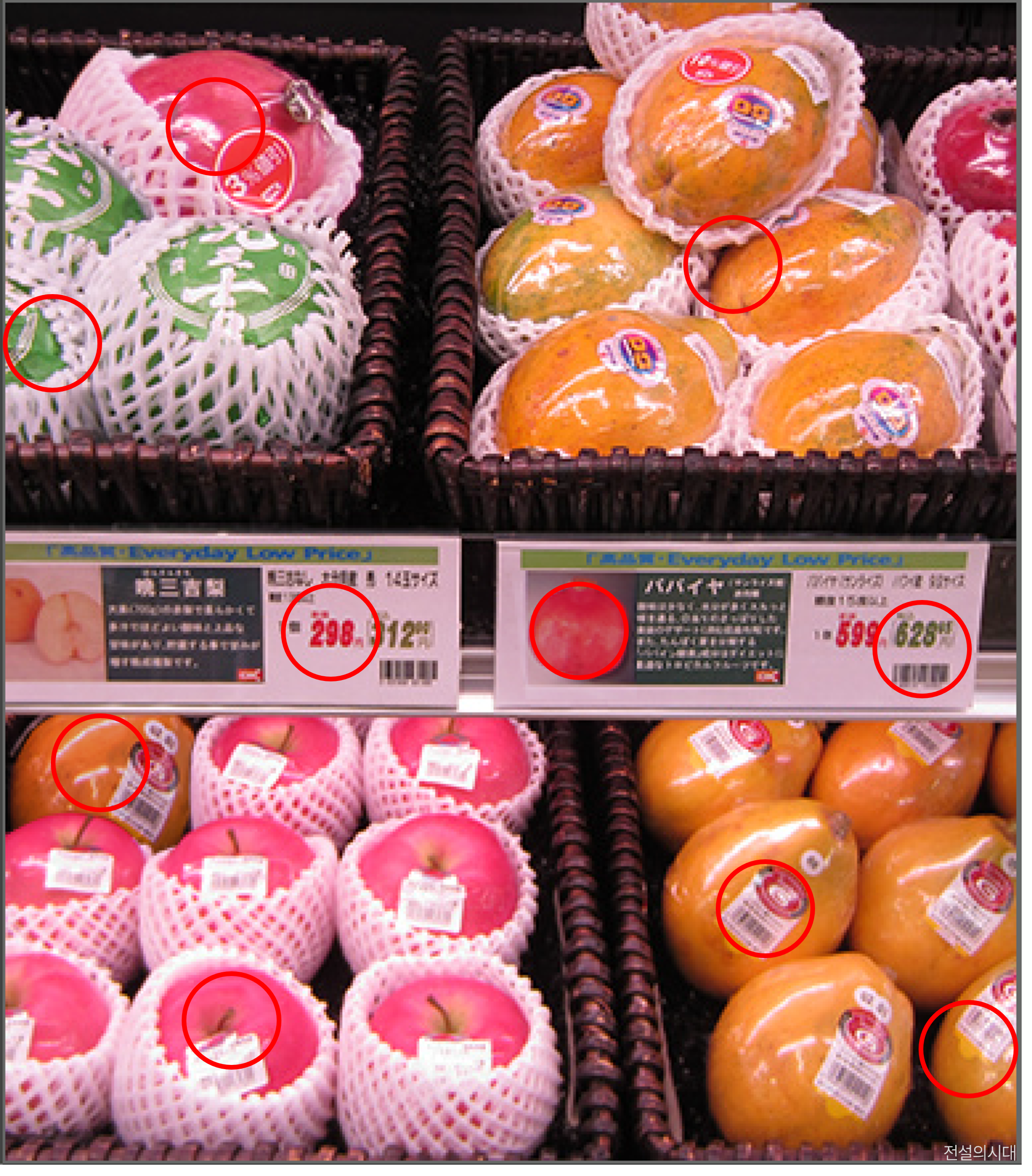 [크아][히든캐치][오락실 족보][오락실] 스테이지 48