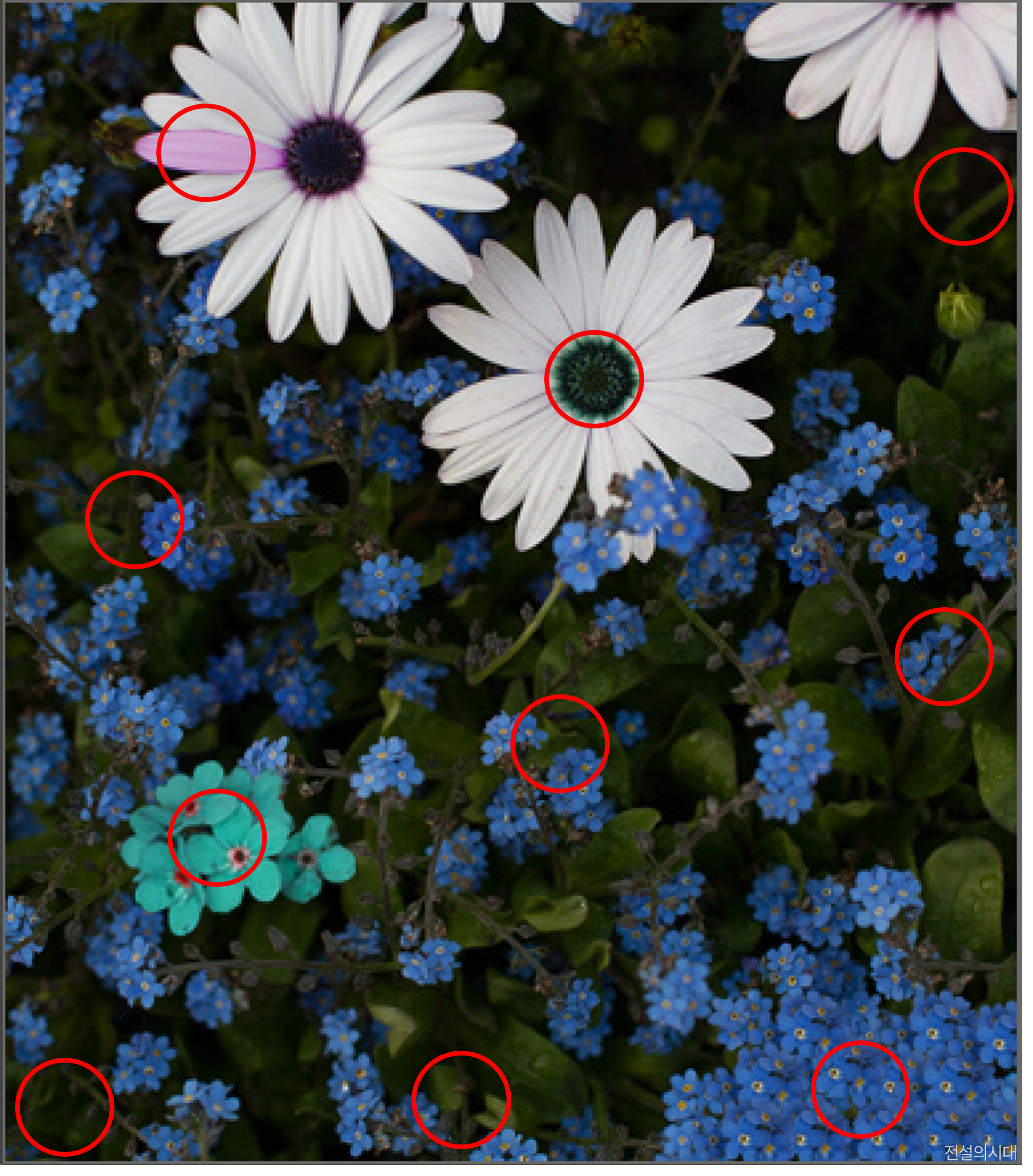 [크아][히든캐치][오락실 족보][포레스트] 스테이지 49