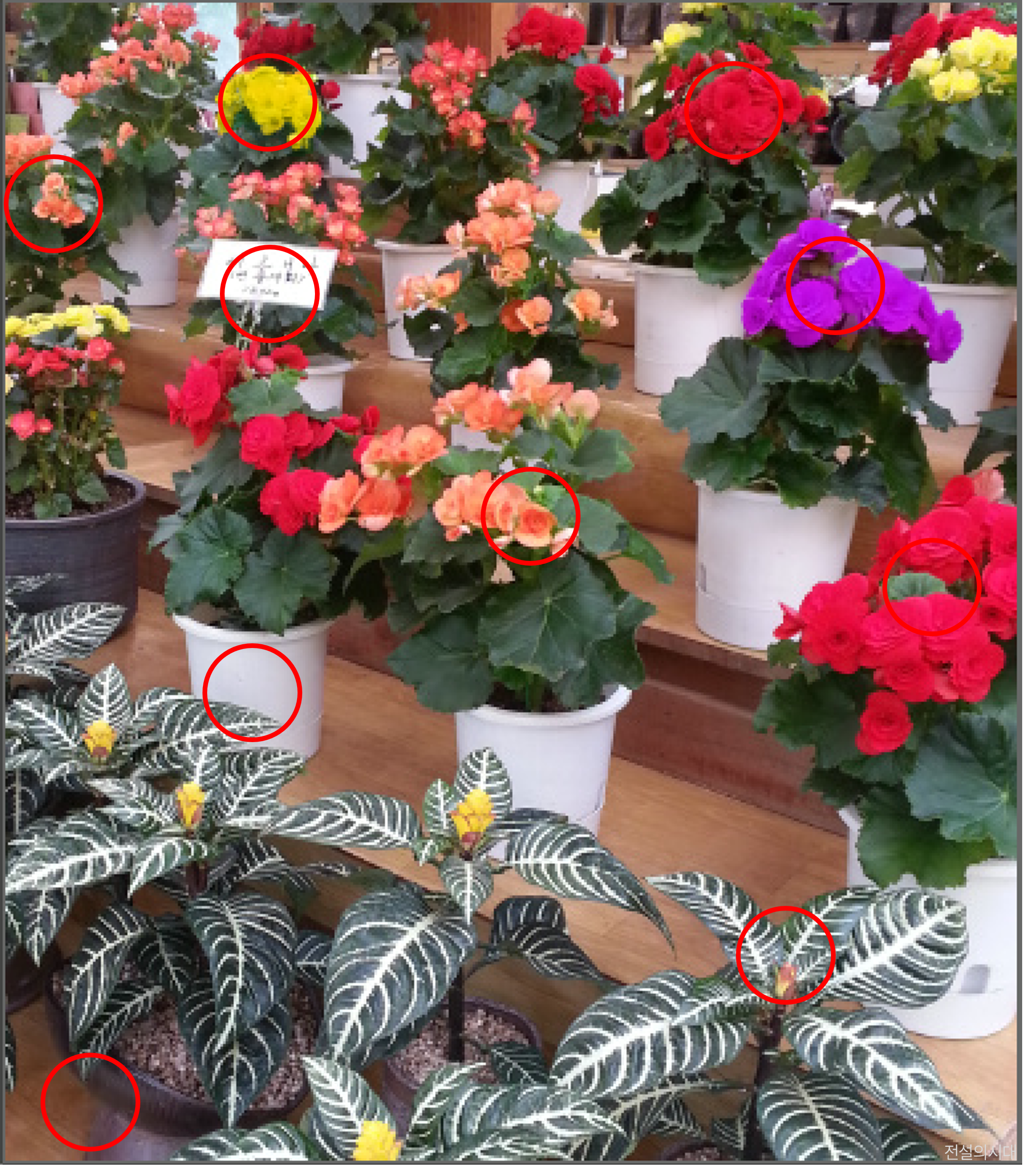 [크아][히든캐치][오락실 족보][푸딩초코] 스테이지 58