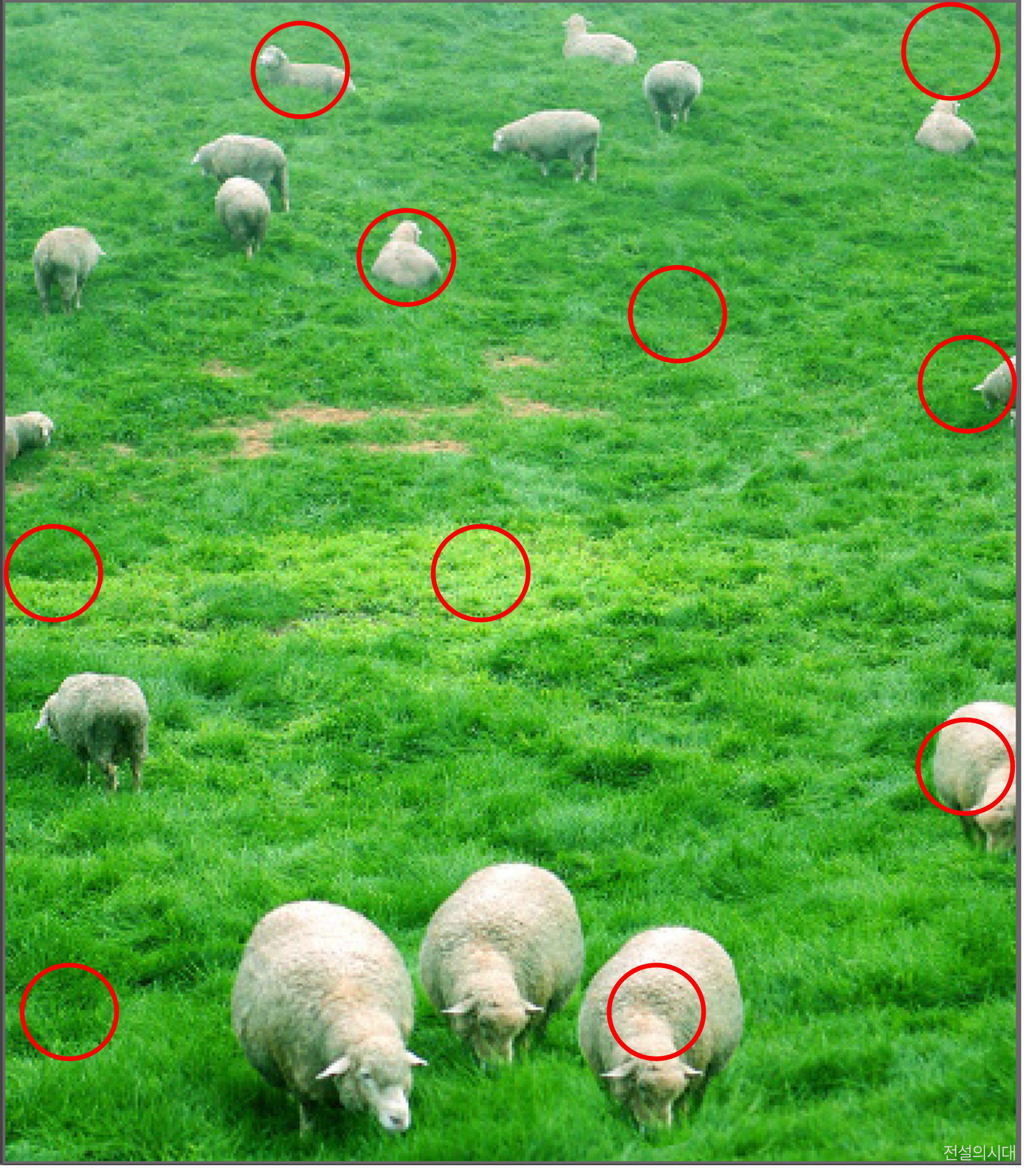 [크아][히든캐치][오락실 족보][포레스트] 스테이지 59