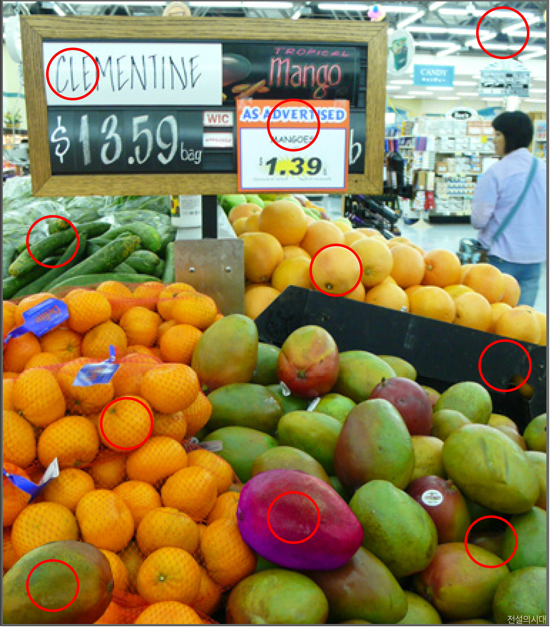 [크아][히든캐치][오락실 족보][포레스트] 스테이지 63