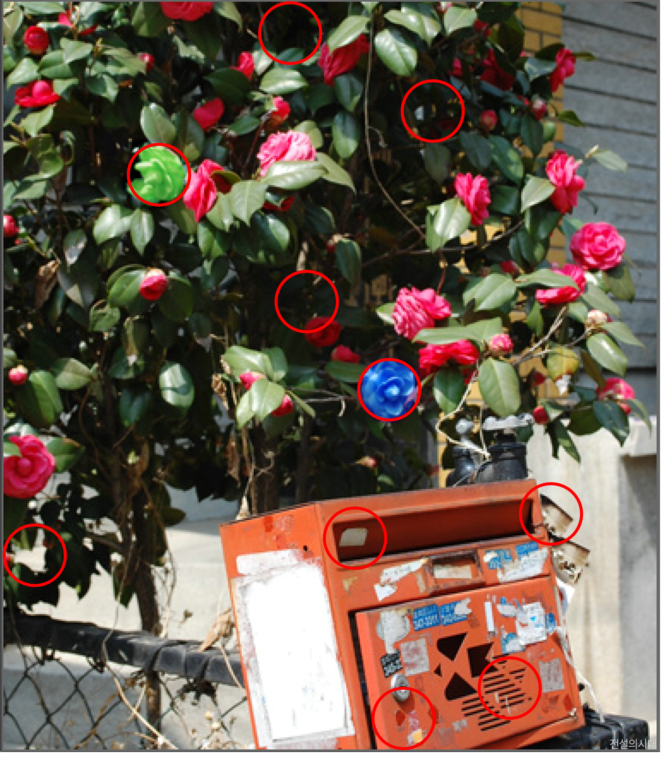 [크아][히든캐치][오락실 족보][포레스트] 스테이지 7