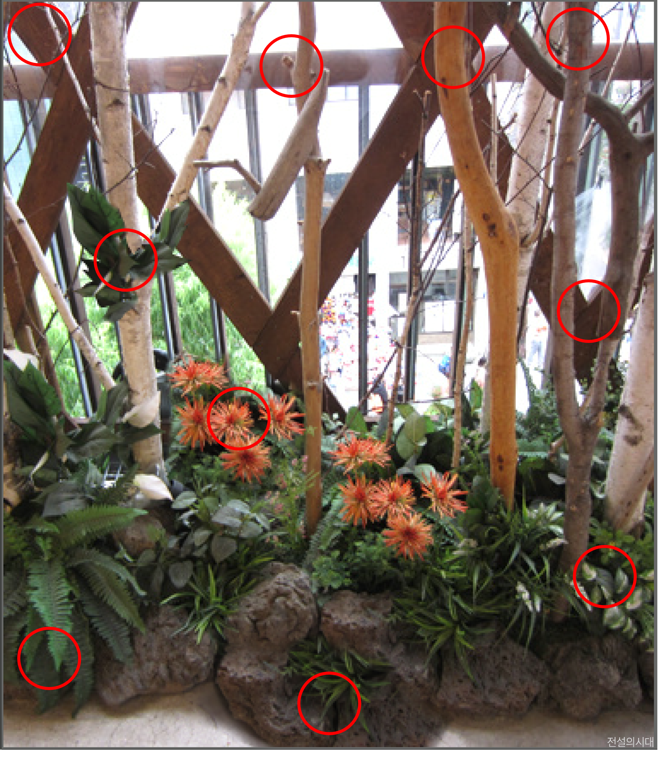 [크아][히든캐치][오락실 족보][오락실] 스테이지 71