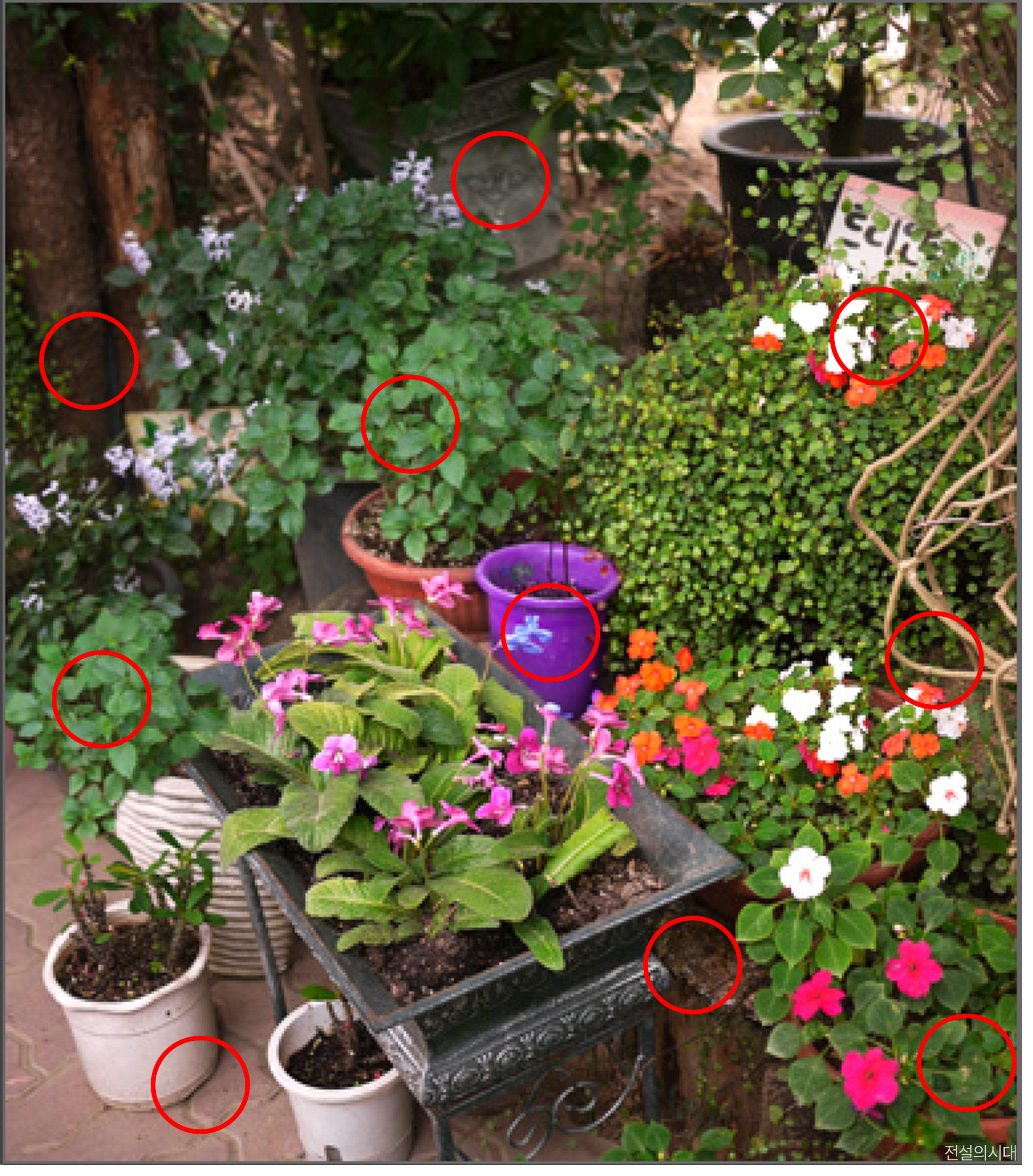 [크아][히든캐치][오락실 족보][포레스트] 스테이지 78