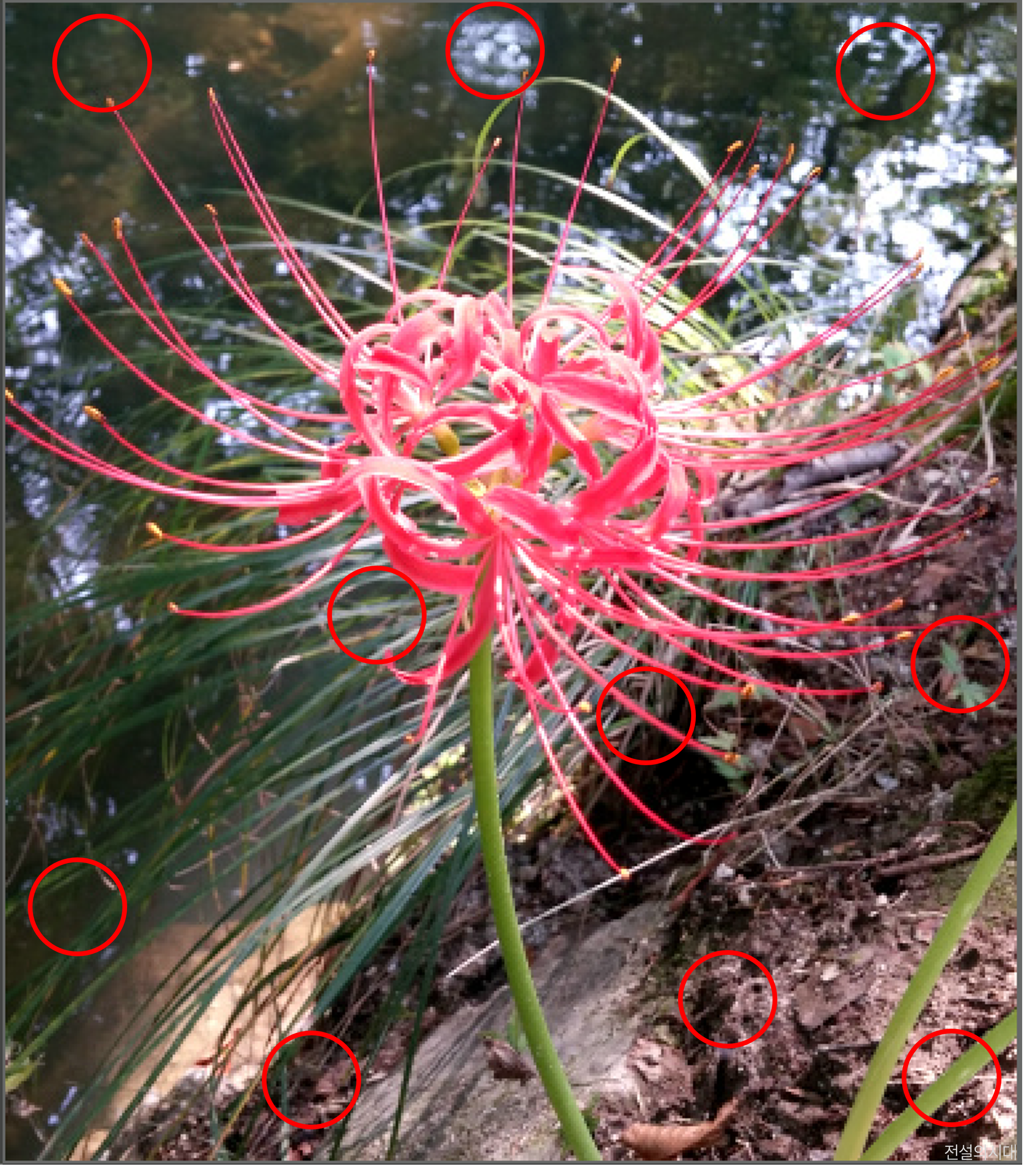 [크아][히든캐치][오락실 족보][푸딩초코] 스테이지 79