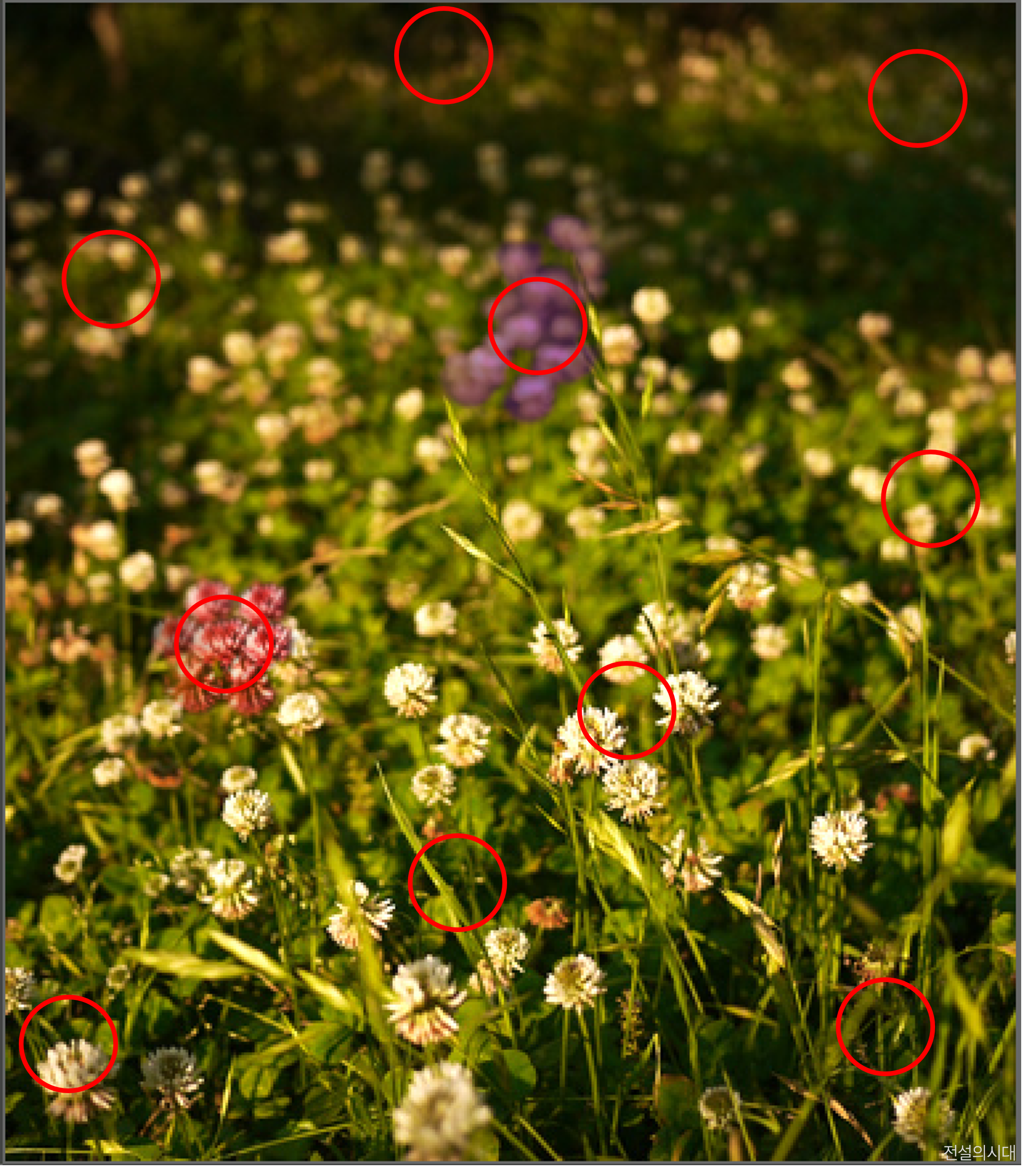 [크아][히든캐치][오락실 족보][포레스트] 스테이지 82