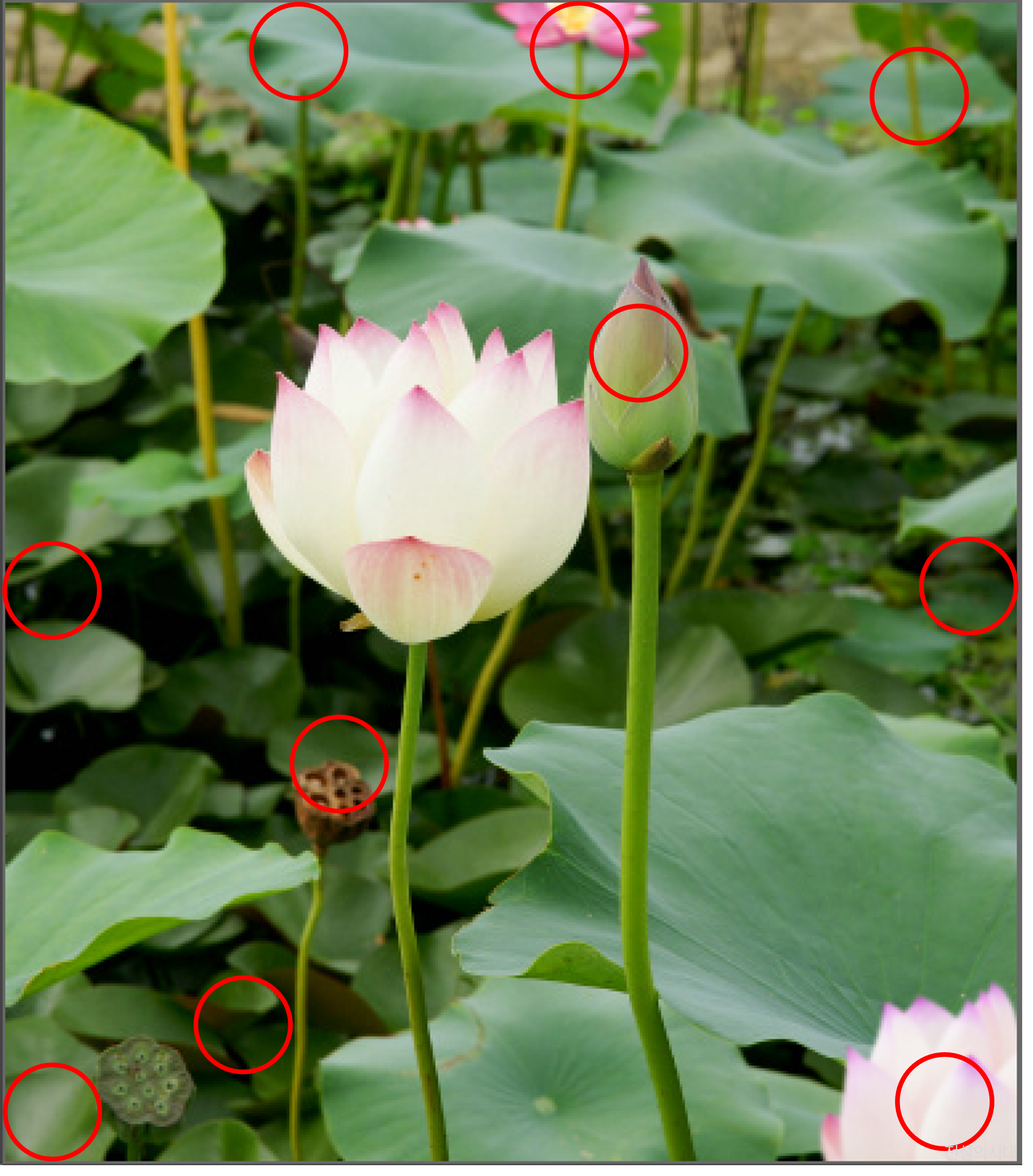 [크아][히든캐치][오락실 족보][포레스트] 스테이지 93