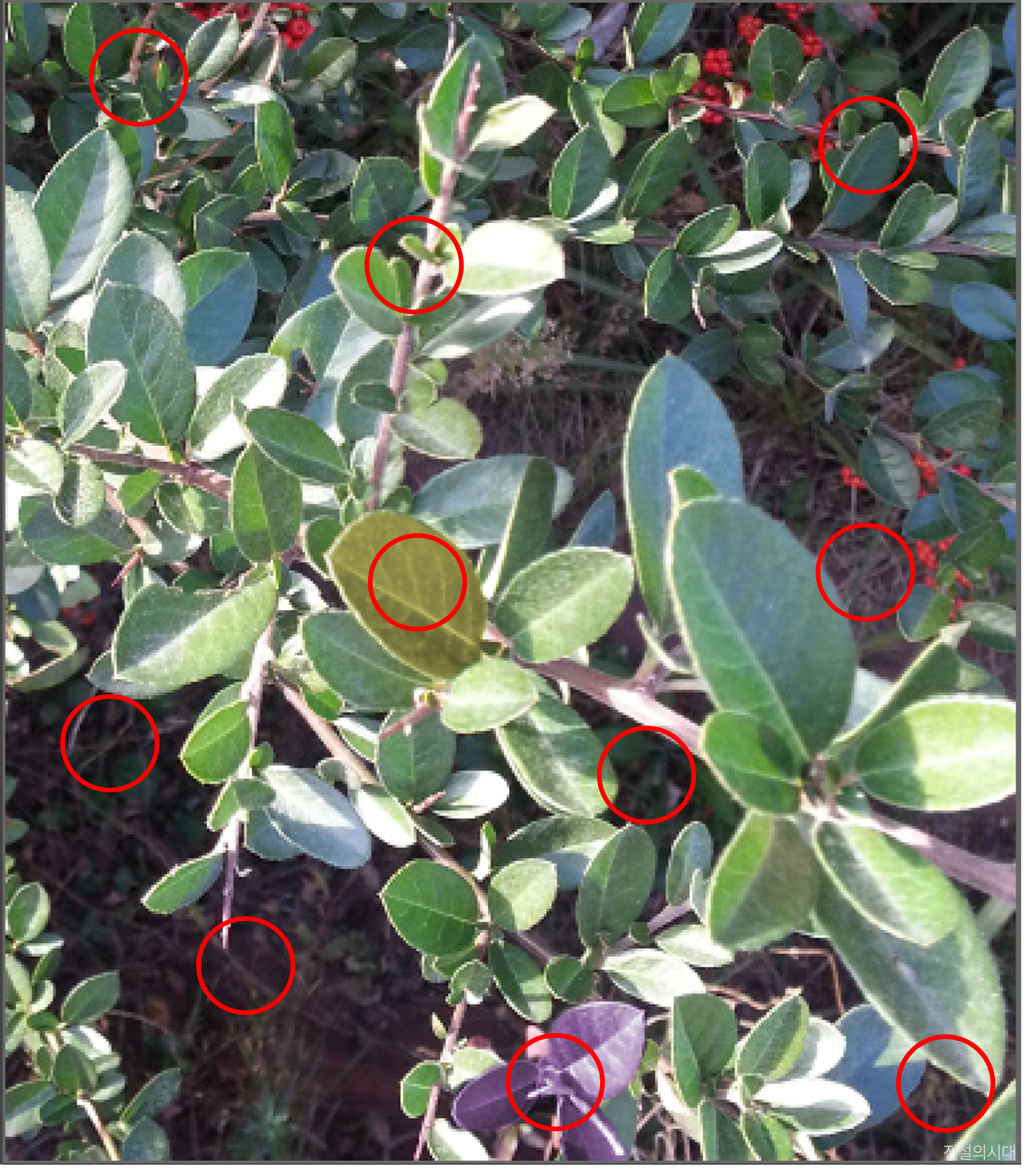 [크아][히든캐치][오락실 족보][푸딩초코] 스테이지 93