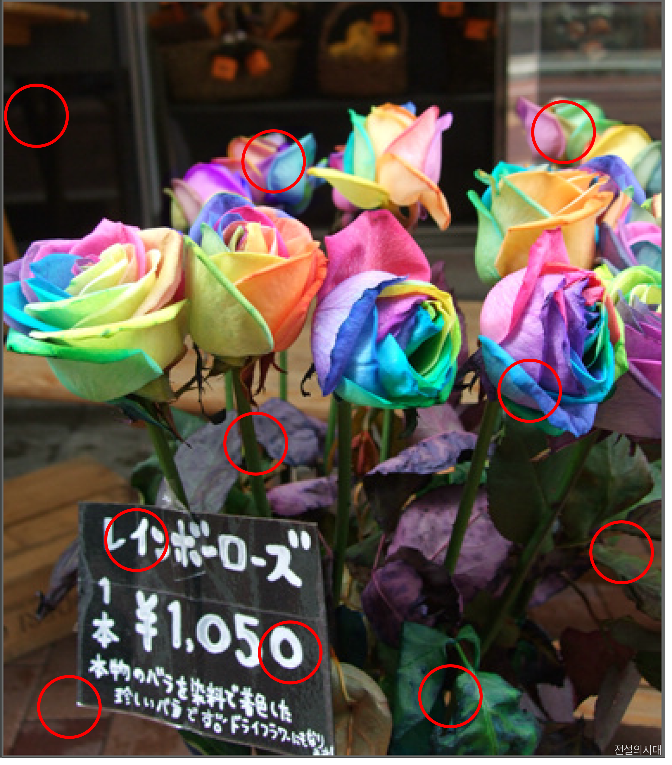 [크아][히든캐치][오락실 족보][포레스트] 스테이지 94