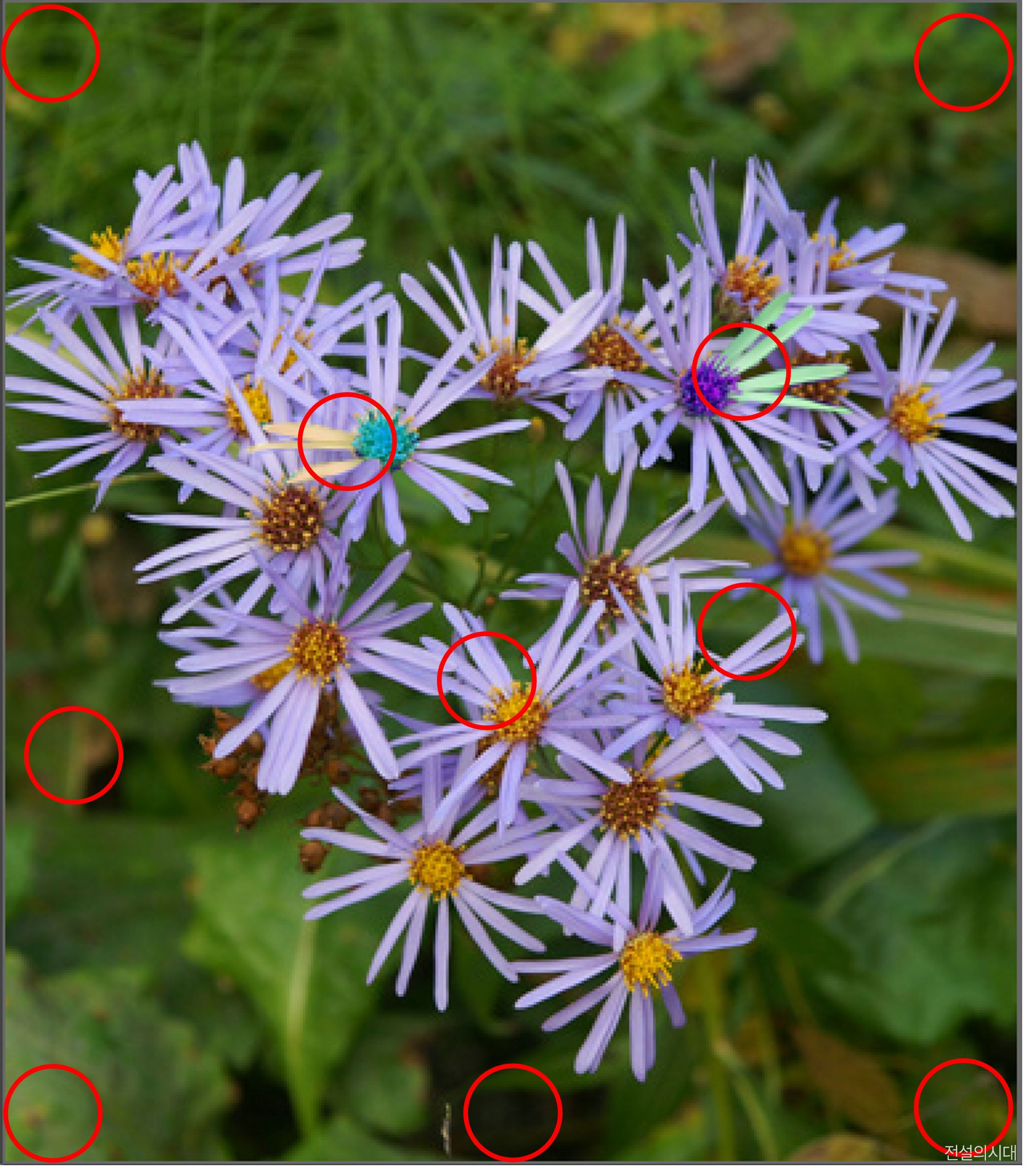 [크아][히든캐치][오락실 족보][포레스트] 스테이지 96