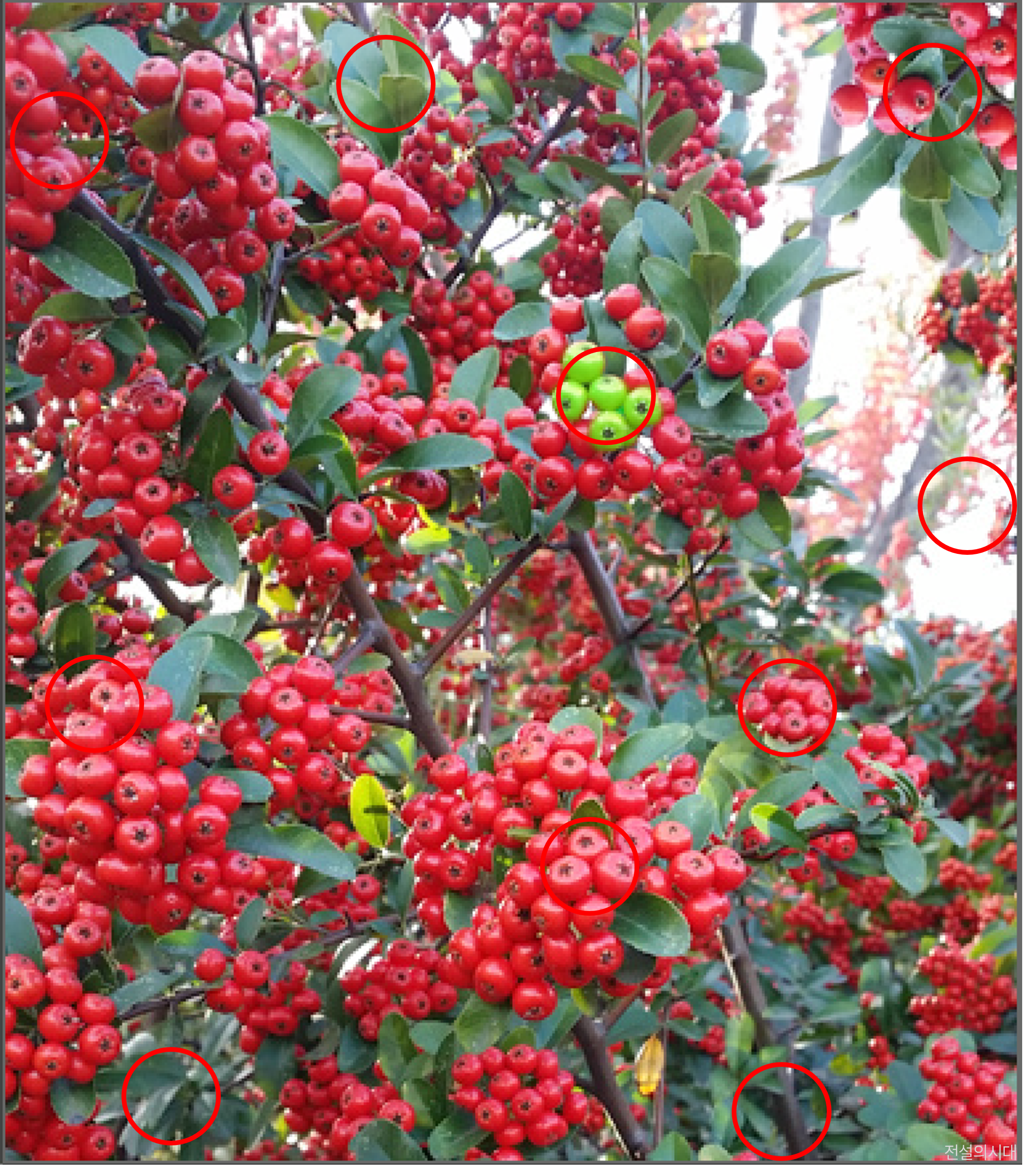 [크아][히든캐치][오락실 족보][푸딩초코] 스테이지 97