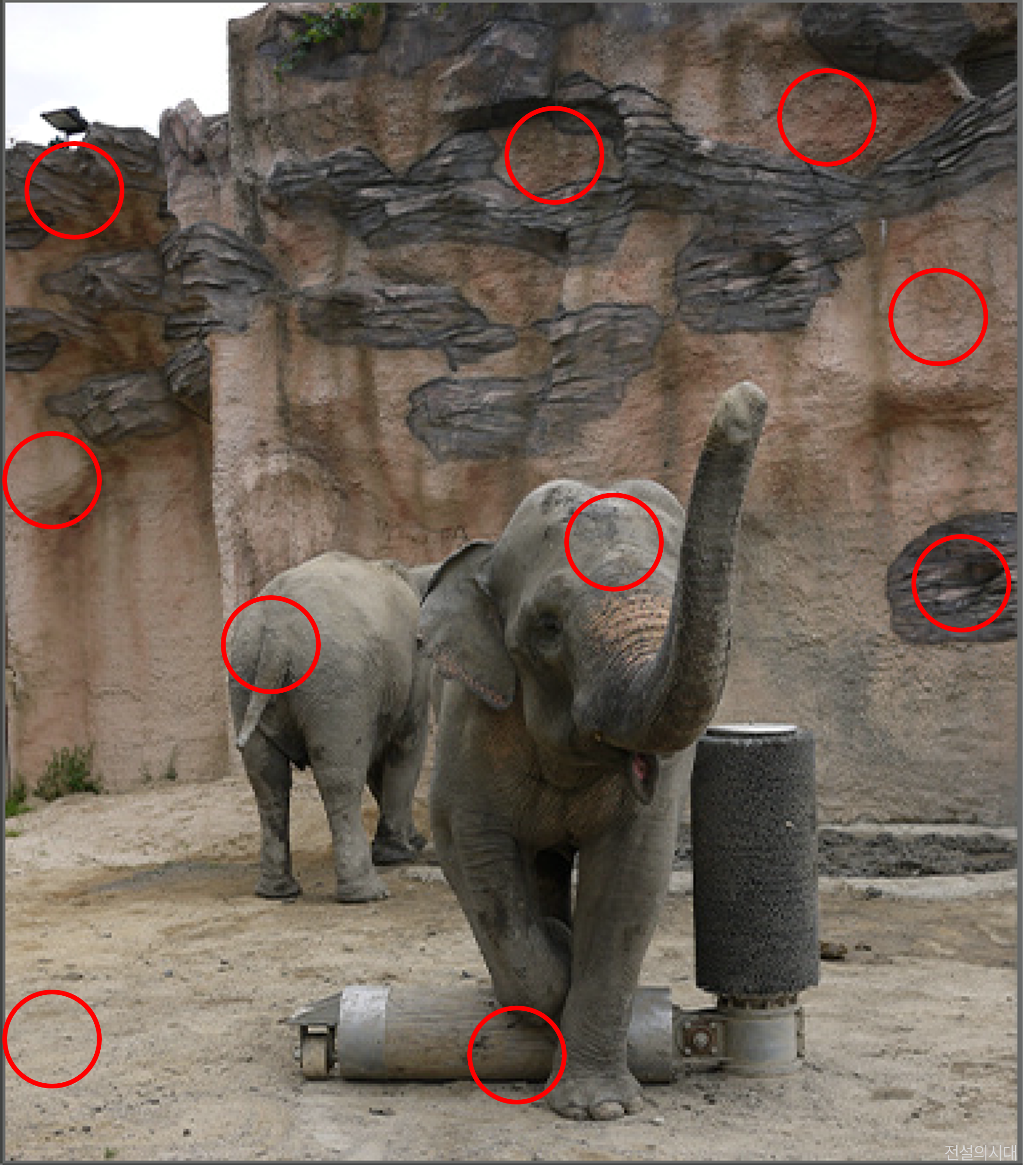 [크아][히든캐치][오락실 족보][오락실] 스테이지 99